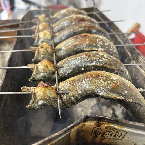 画像1509