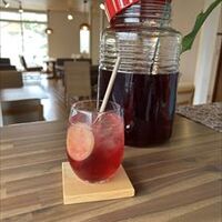 料理や店内の雰囲気を感じるギャラリー