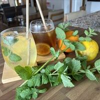 料理や店内の雰囲気を感じるギャラリー