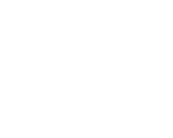 つなぐ種 芽
